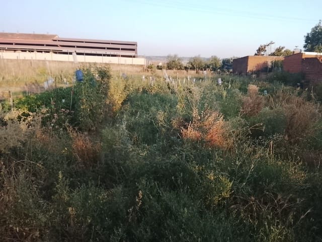 Mark till salu i Talavera de la Reina - 160 000 € (Ref: 10014797)