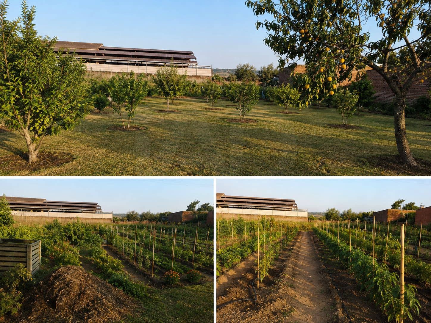 Mark till salu i Talavera de la Reina - 160 000 € (Ref: 10014797)