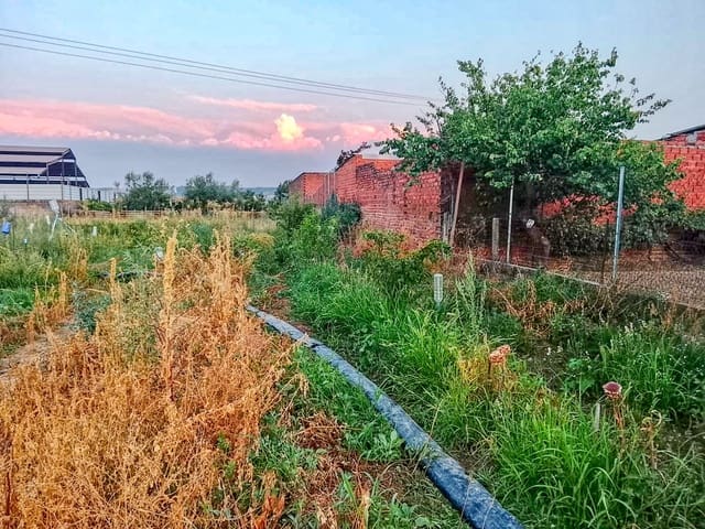Terreno Não Urbanizado para venda em Talavera de la Reina - 160 000 € (Ref: 10014797)