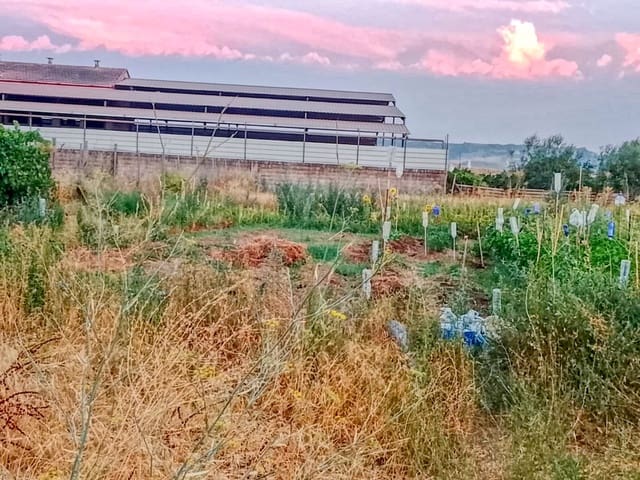 Terreno Não Urbanizado para venda em Talavera de la Reina - 160 000 € (Ref: 10014797)