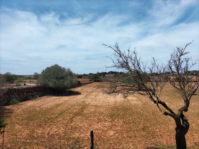 3 soveværelse Finca/Landehus til salg i Formentera kommune - € 1.970.000 (Ref: 10014967)