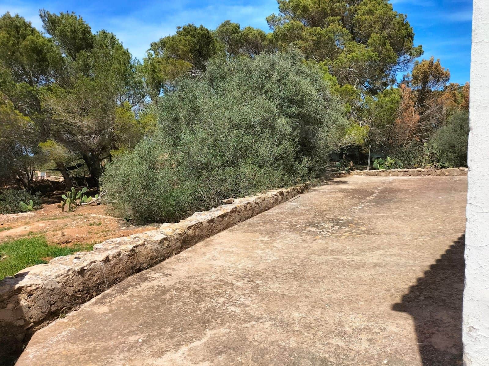 3 chambre Finca/Maison de Campagne à vendre à Formentera municipalite - 1 970 000 € (Ref: 10014967)