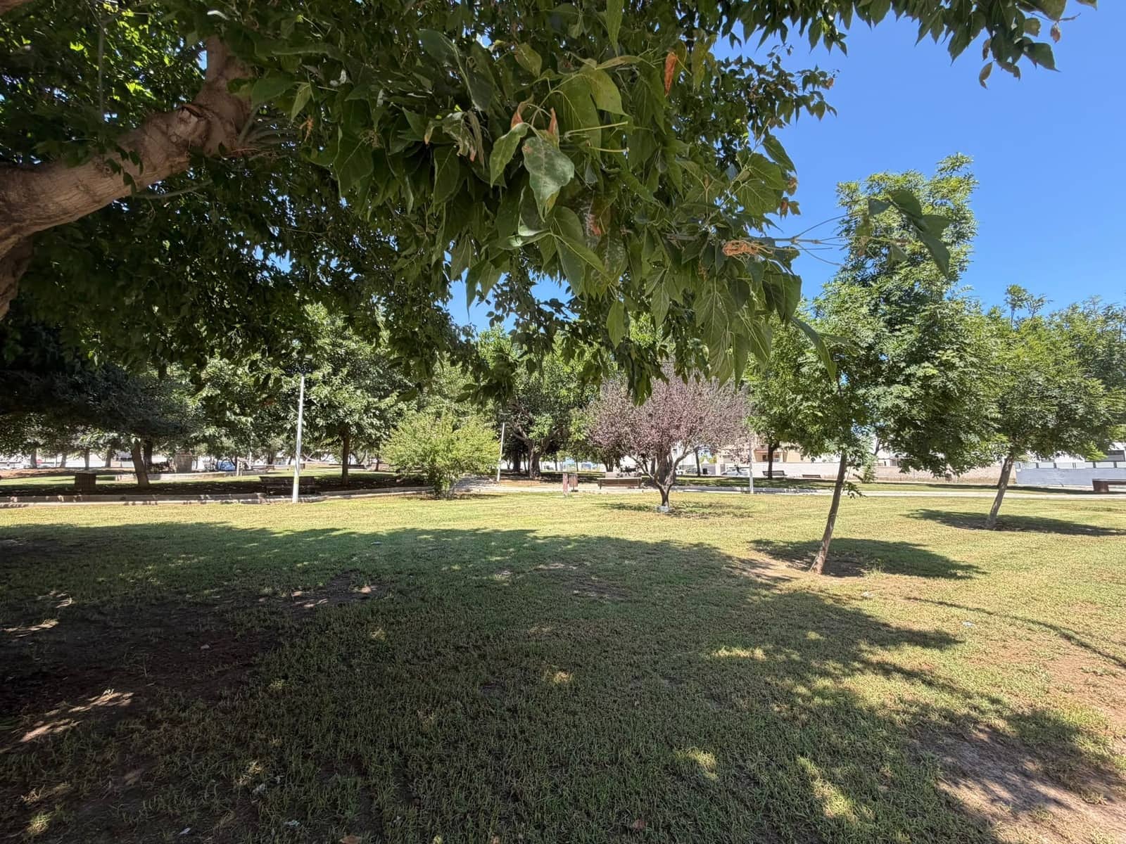 3 bedroom Apartment for sale in Bellreguard - € 151,000 (Ref: 10014974)