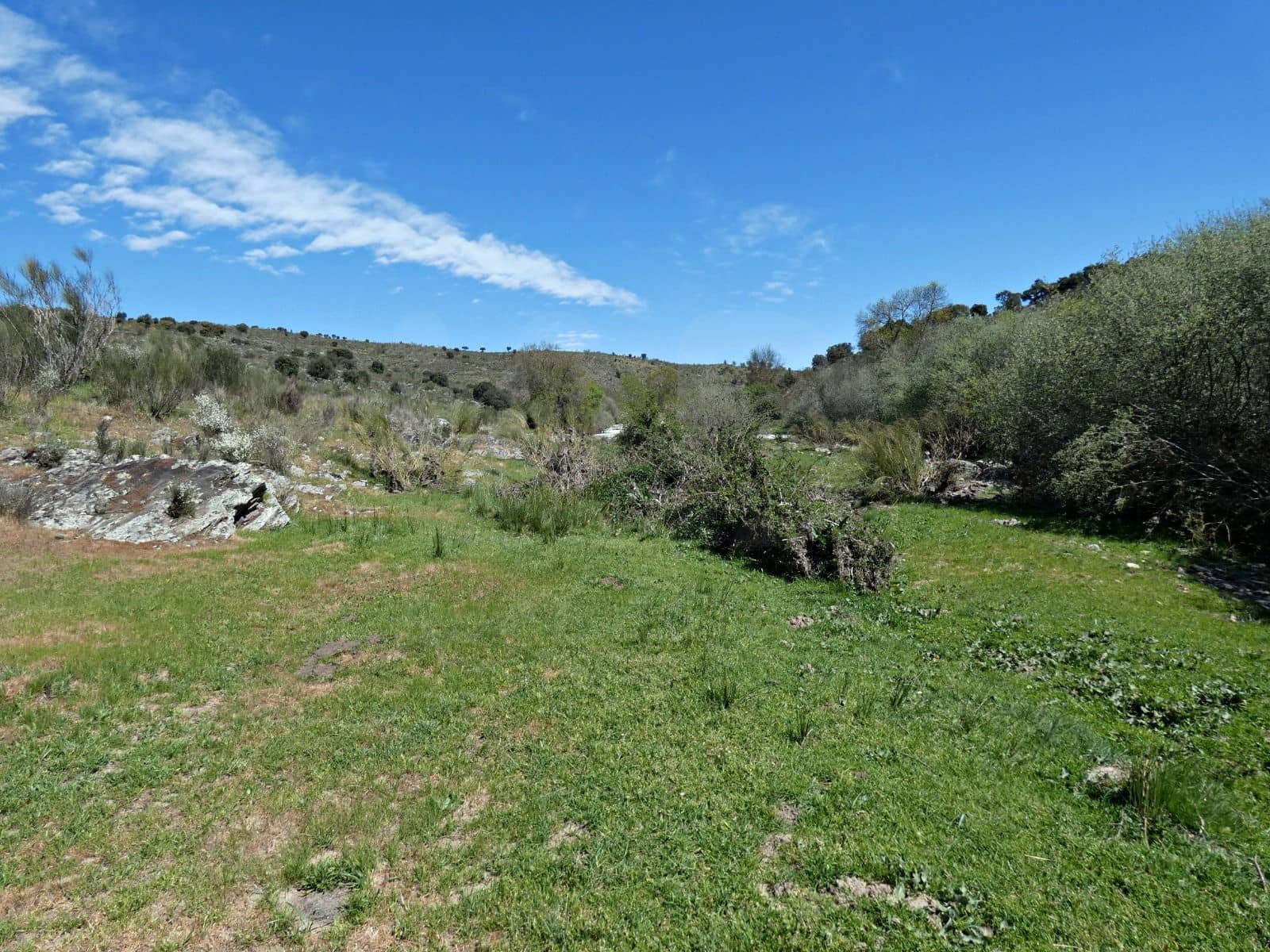 Undeveloped Land for sale in Gallegos de Arganan - € 44,000 (Ref: 10016777)