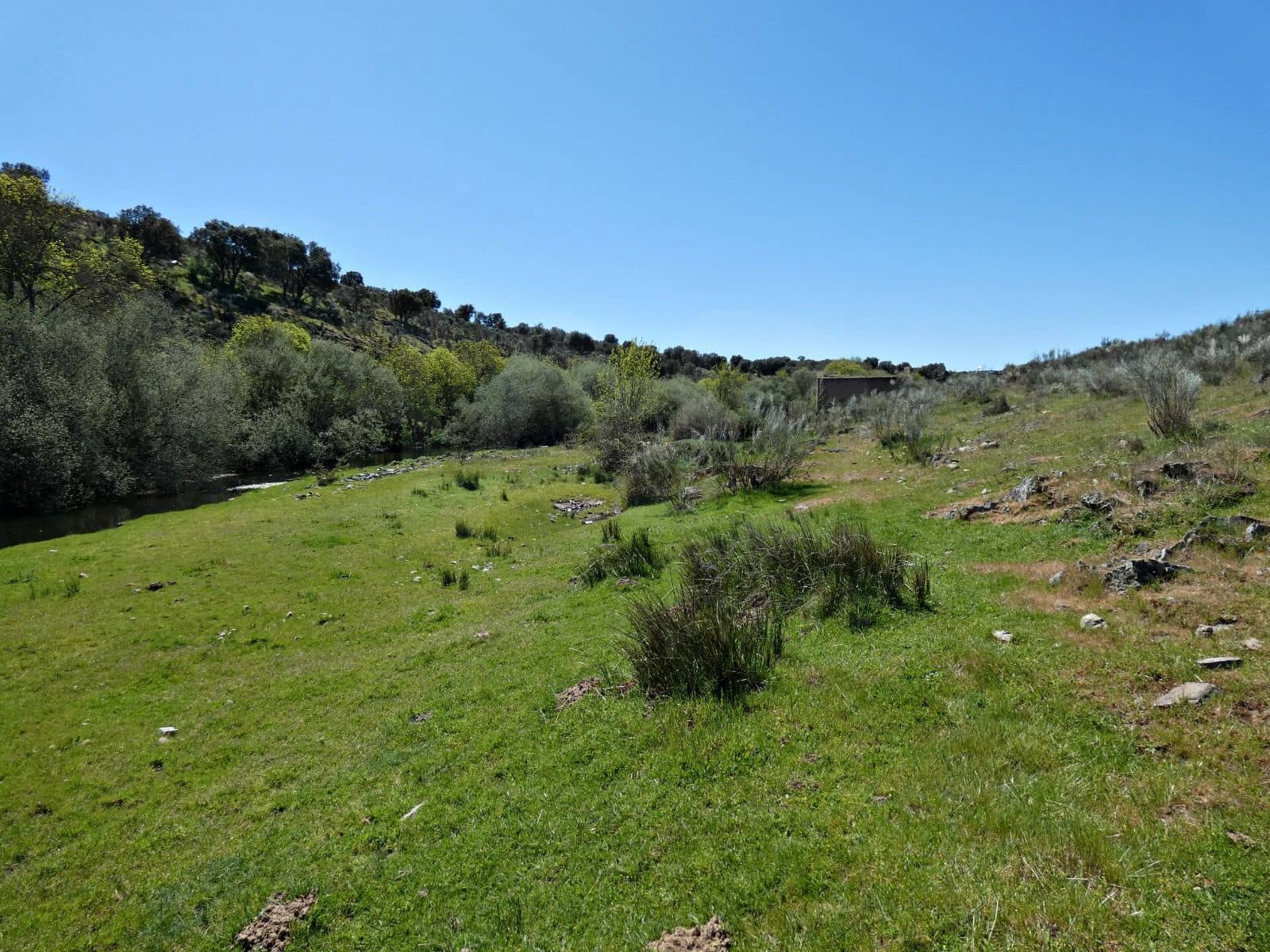 Undeveloped Land for sale in Gallegos de Arganan - € 44,000 (Ref: 10016777)