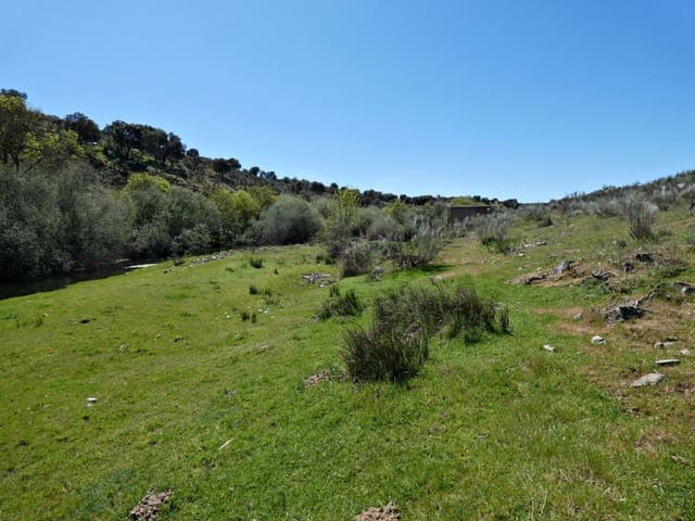 Undeveloped Land for sale in Gallegos de Argañán - € 44,000 (Ref: 10016777)