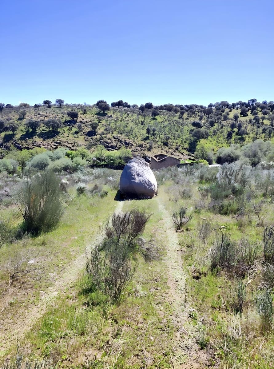 Undeveloped Land for sale in Gallegos de Arganan - € 44,000 (Ref: 10016777)