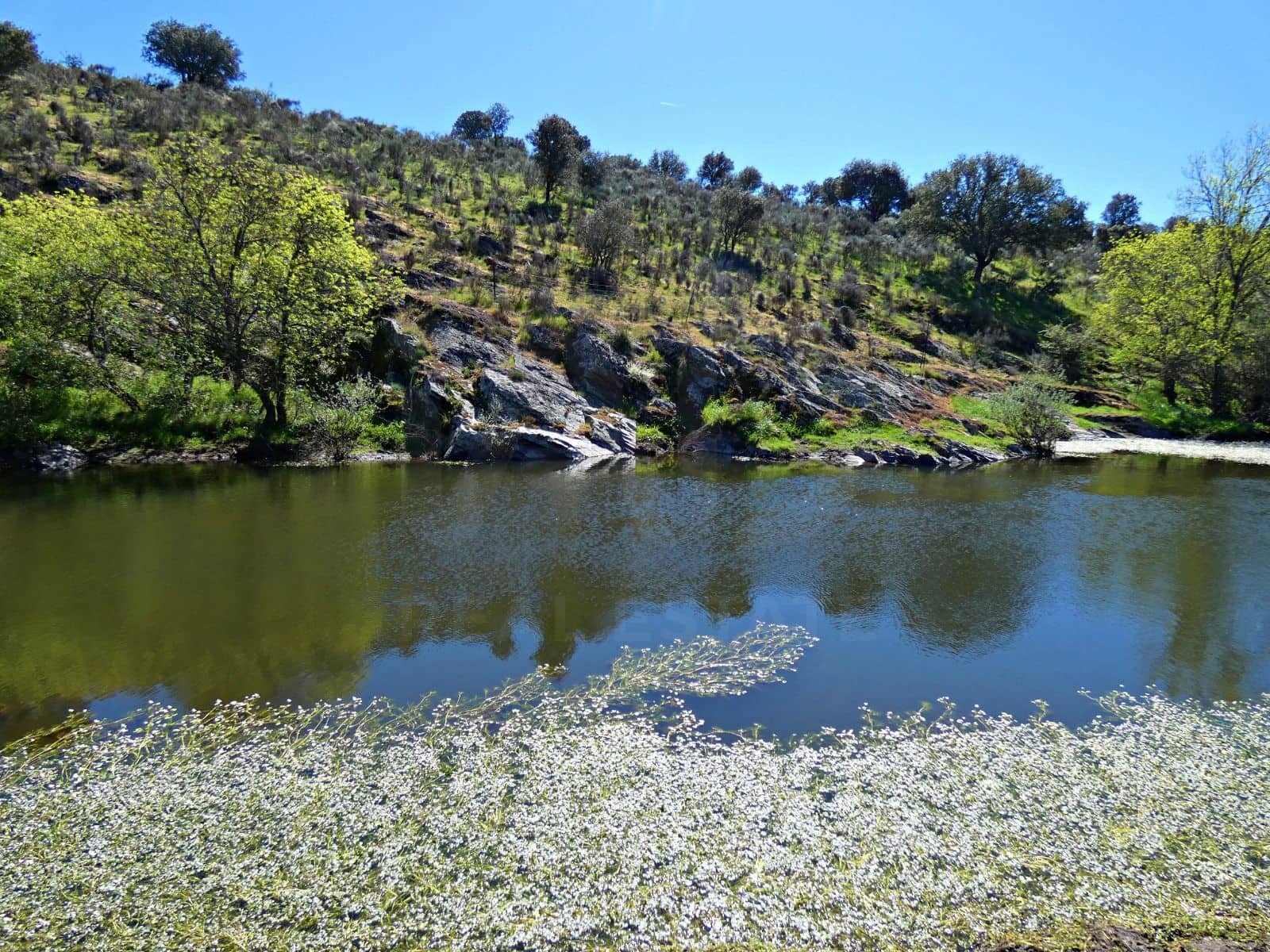 Undeveloped Land for sale in Gallegos de Arganan - € 44,000 (Ref: 10016777)