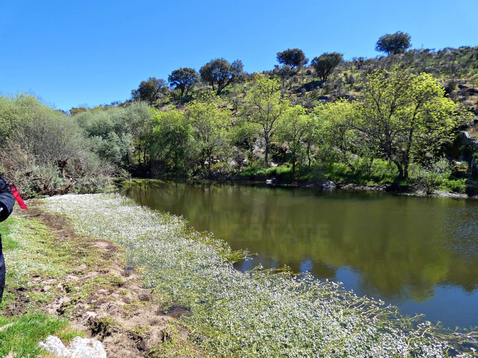 Undeveloped Land for sale in Gallegos de Arganan - € 44,000 (Ref: 10016777)