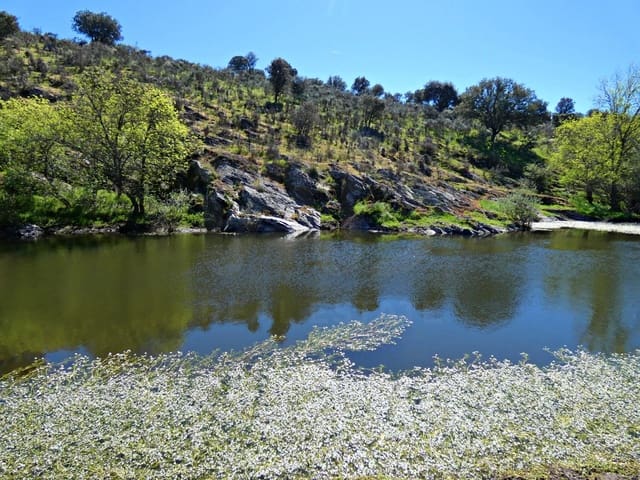 Undeveloped Land for sale in Gallegos de Argañán - € 44,000 (Ref: 10016777)