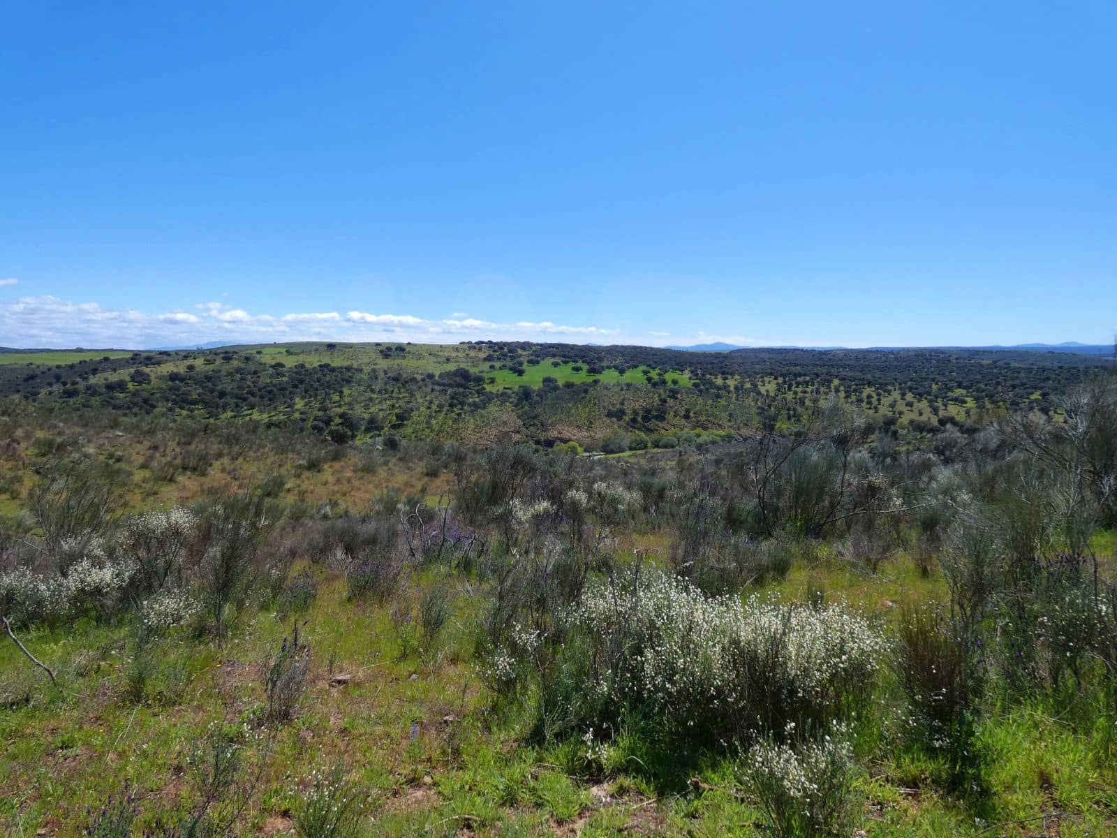 Undeveloped Land for sale in Gallegos de Arganan - € 44,000 (Ref: 10016777)