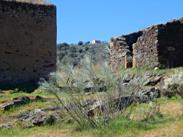 Undeveloped Land for sale in Gallegos de Argañán - € 44,000 (Ref: 10016777)
