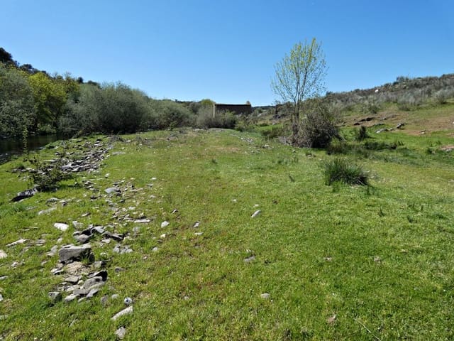 Undeveloped Land for sale in Gallegos de Argañán - € 44,000 (Ref: 10016777)
