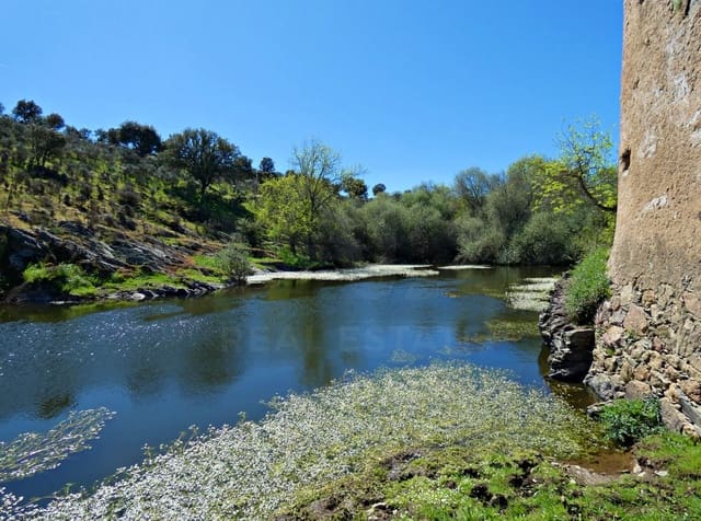 Undeveloped Land for sale in Gallegos de Argañán - € 44,000 (Ref: 10016777)