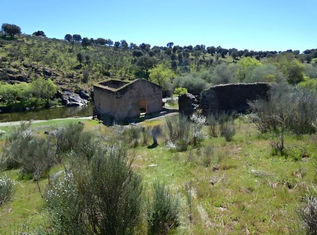 Undeveloped Land for sale in Gallegos de Argañán - € 44,000 (Ref: 10016777)