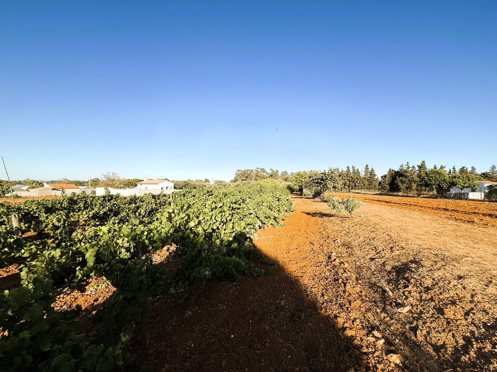 Undeveloped Land for sale in Chiclana de la Frontera - € 379,000 (Ref: 10016994)