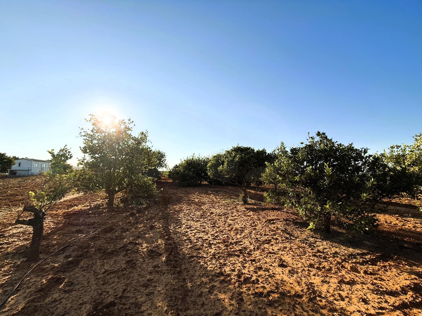 Undeveloped Land for sale in Chiclana de la Frontera - € 379,000 (Ref: 10016994)