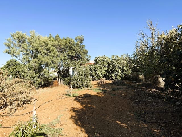 Undeveloped Land for sale in Chiclana de la Frontera - € 379,000 (Ref: 10016994)