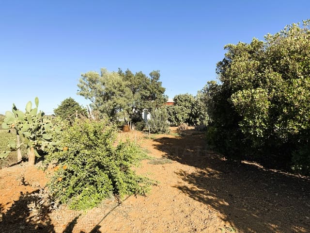 Undeveloped Land for sale in Chiclana de la Frontera - € 379,000 (Ref: 10016994)