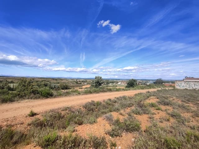 Terre non Aménagée à vendre à Valdefresno - 19 900 € (Ref: 10020031)