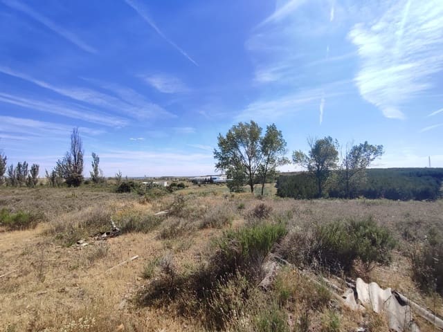 Terre non Aménagée à vendre à Valdefresno - 19 900 € (Ref: 10020031)