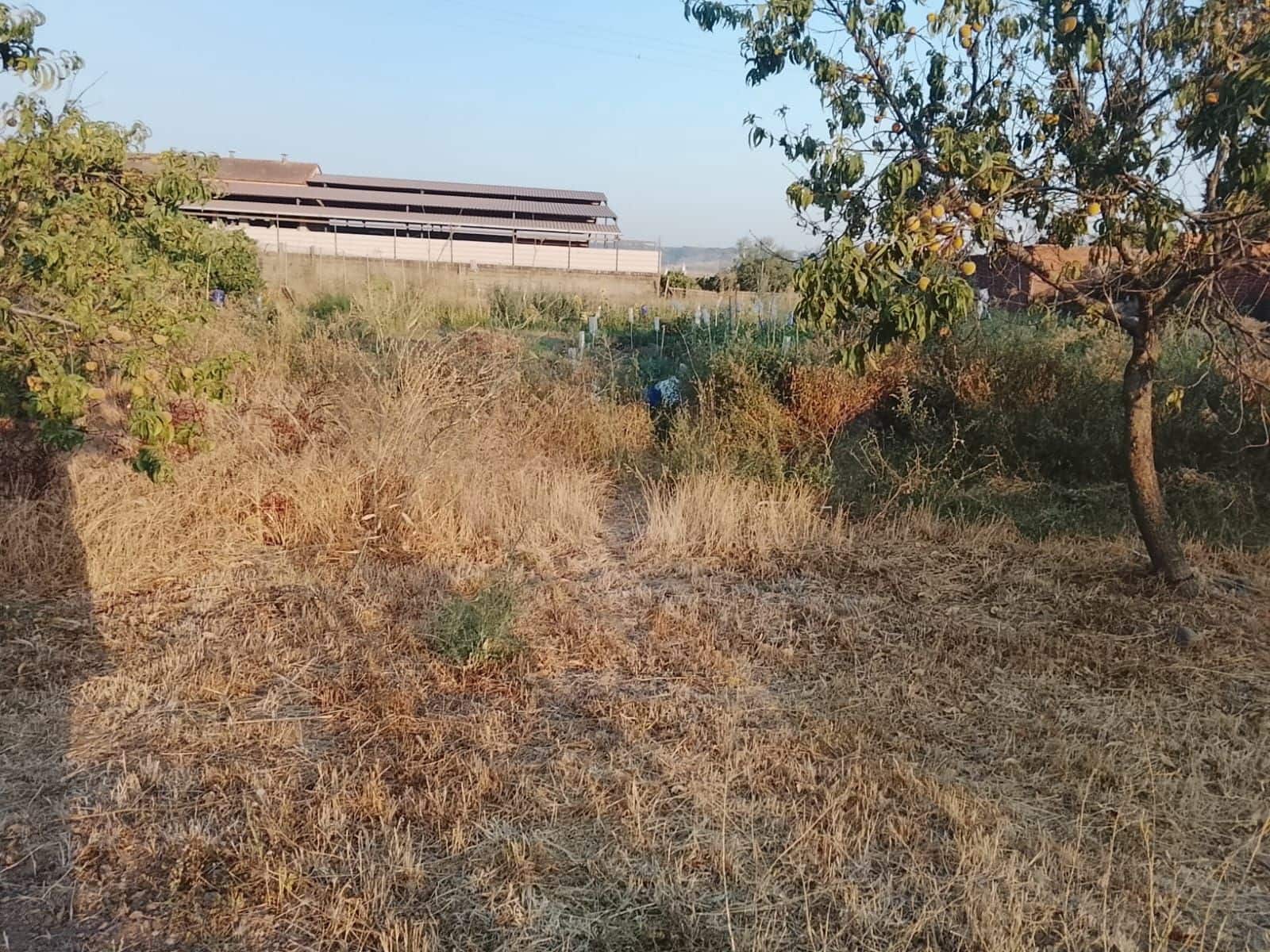 Działka budowlana na sprzedaż w Talavera de la Reina - 158 500 € (Ref: 10020041)