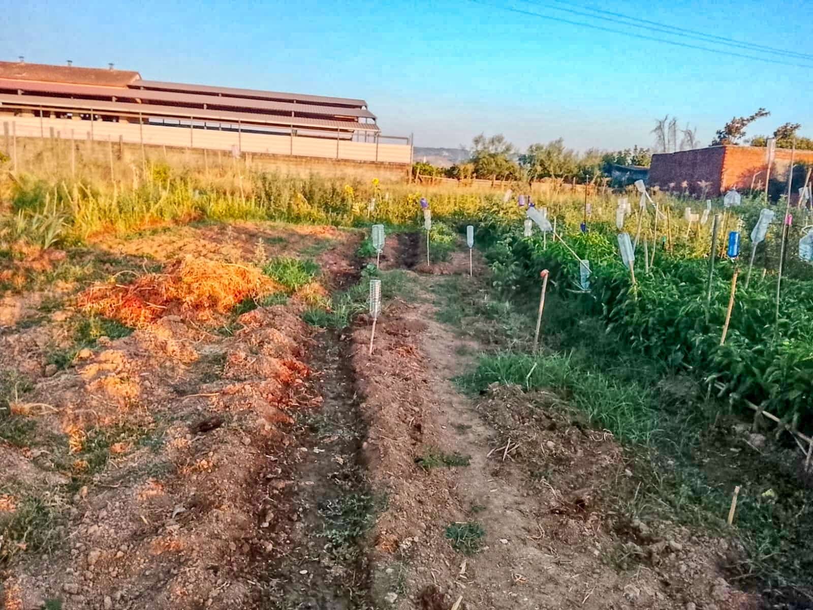 Działka budowlana na sprzedaż w Talavera de la Reina - 158 500 € (Ref: 10020041)