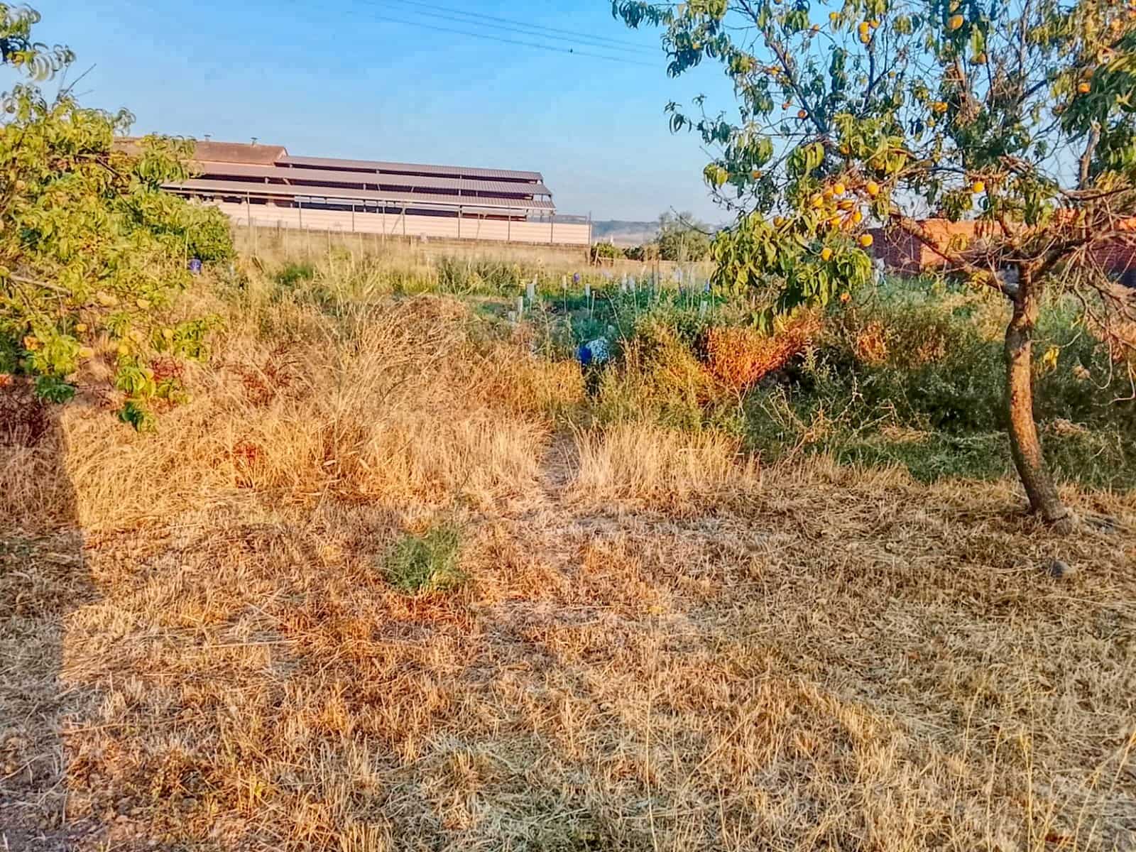 Działka budowlana na sprzedaż w Talavera de la Reina - 158 500 € (Ref: 10020041)