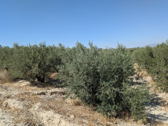 Byggetomt til salgs i La Hoya, Lorca - € 56 000 (Ref: 10020060)
