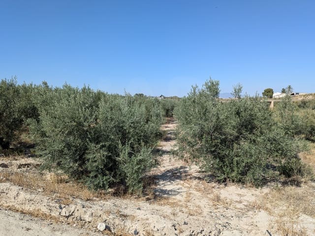 Byggetomt til salgs i La Hoya, Lorca - € 56 000 (Ref: 10020060)