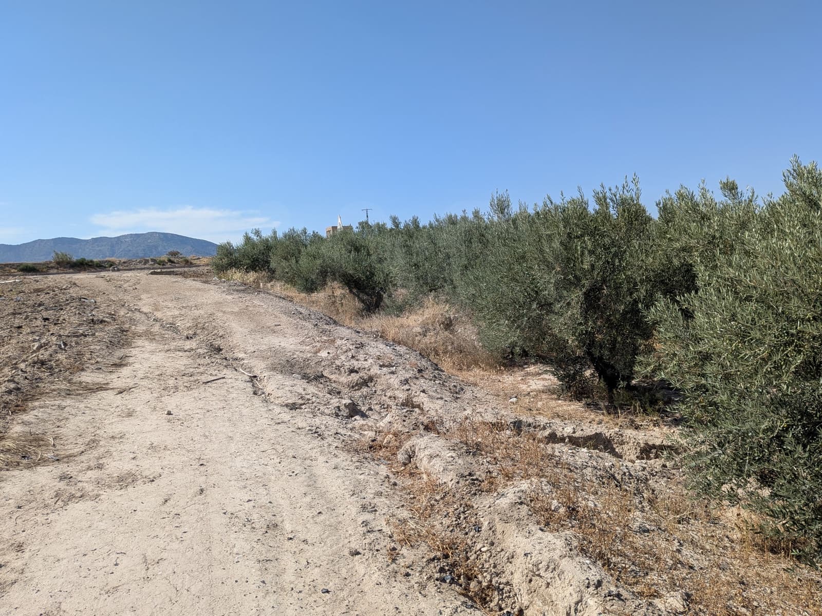 Tomt till salu i La Hoya - 56 000 € (Ref: 10020060)