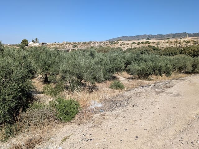 Byggetomt til salgs i La Hoya, Lorca - € 56 000 (Ref: 10020060)