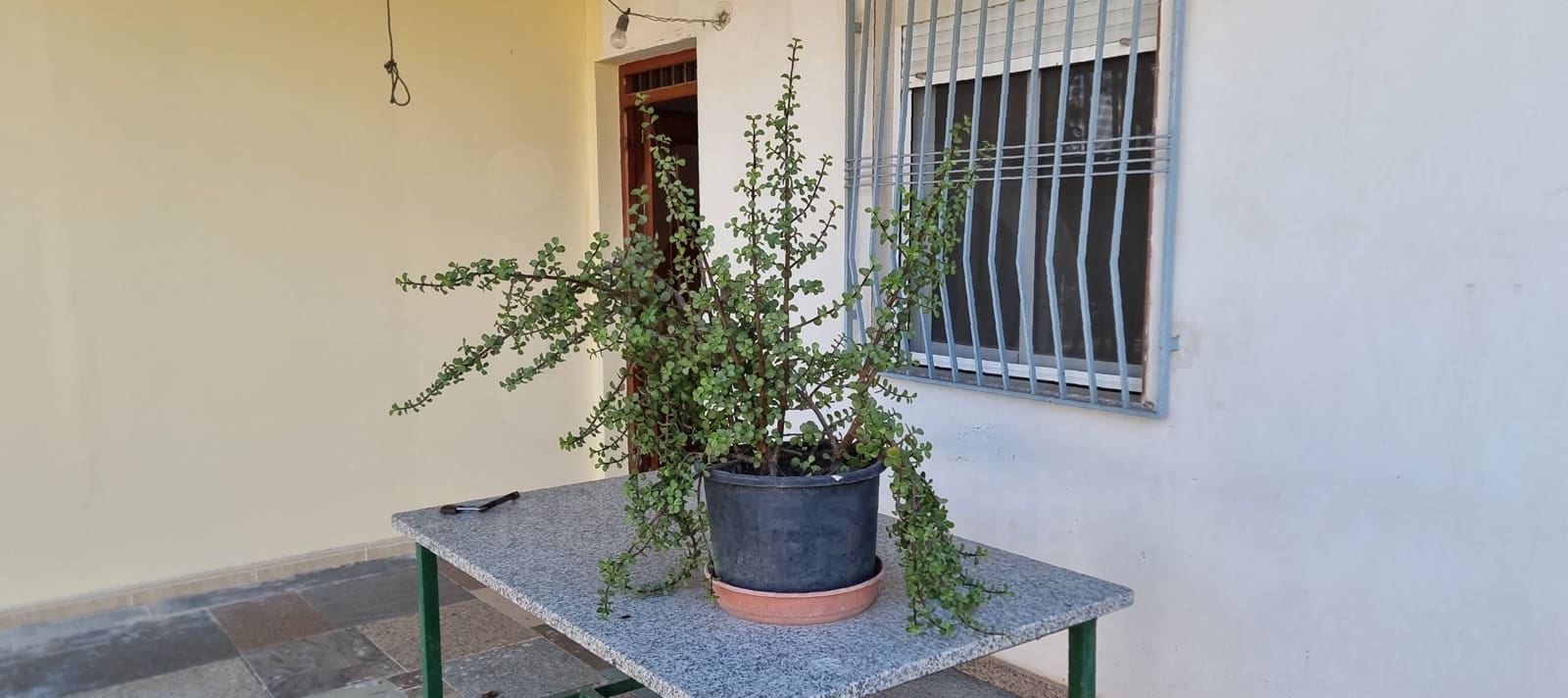 3 Zimmer Finca/Landgut zu verkaufen in Las Torres de Cotillas mit Pool - 140.000 € (Ref: 10020976)