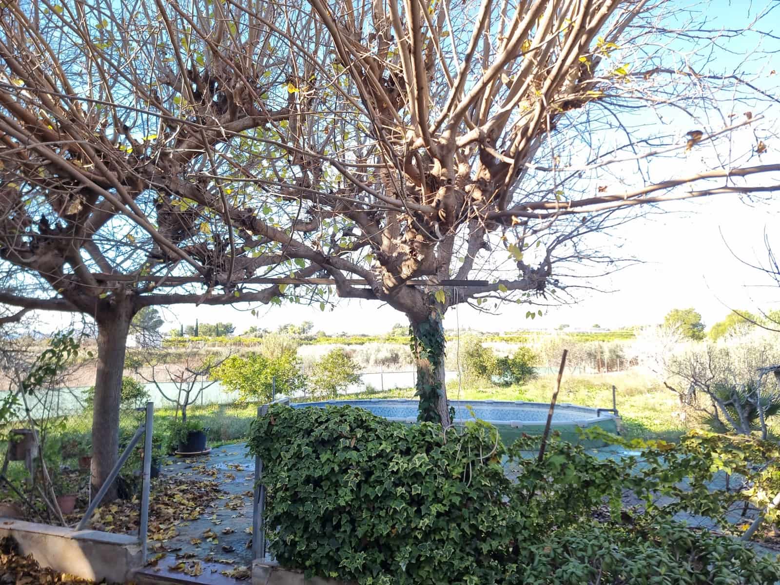 3 Zimmer Finca/Landgut zu verkaufen in Las Torres de Cotillas mit Pool - 140.000 € (Ref: 10020976)