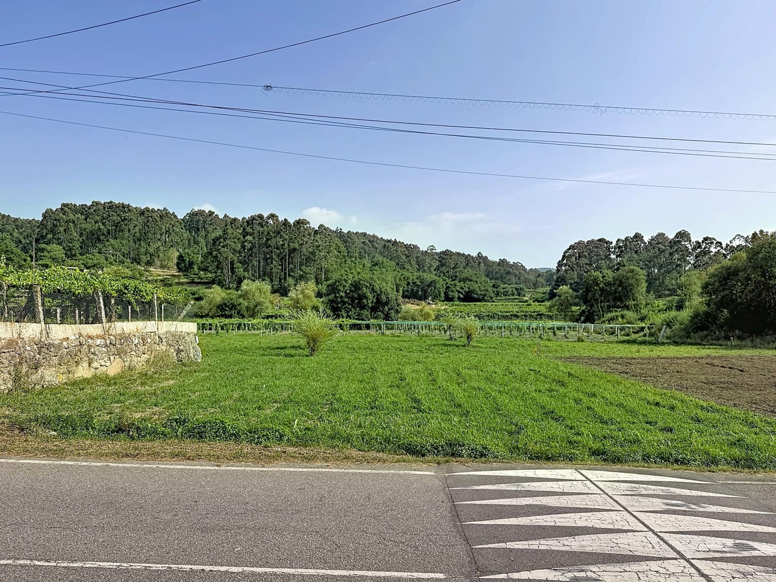 Terreno para Construção para venda em Ribadumia - 50 000 € (Ref: 10020977)
