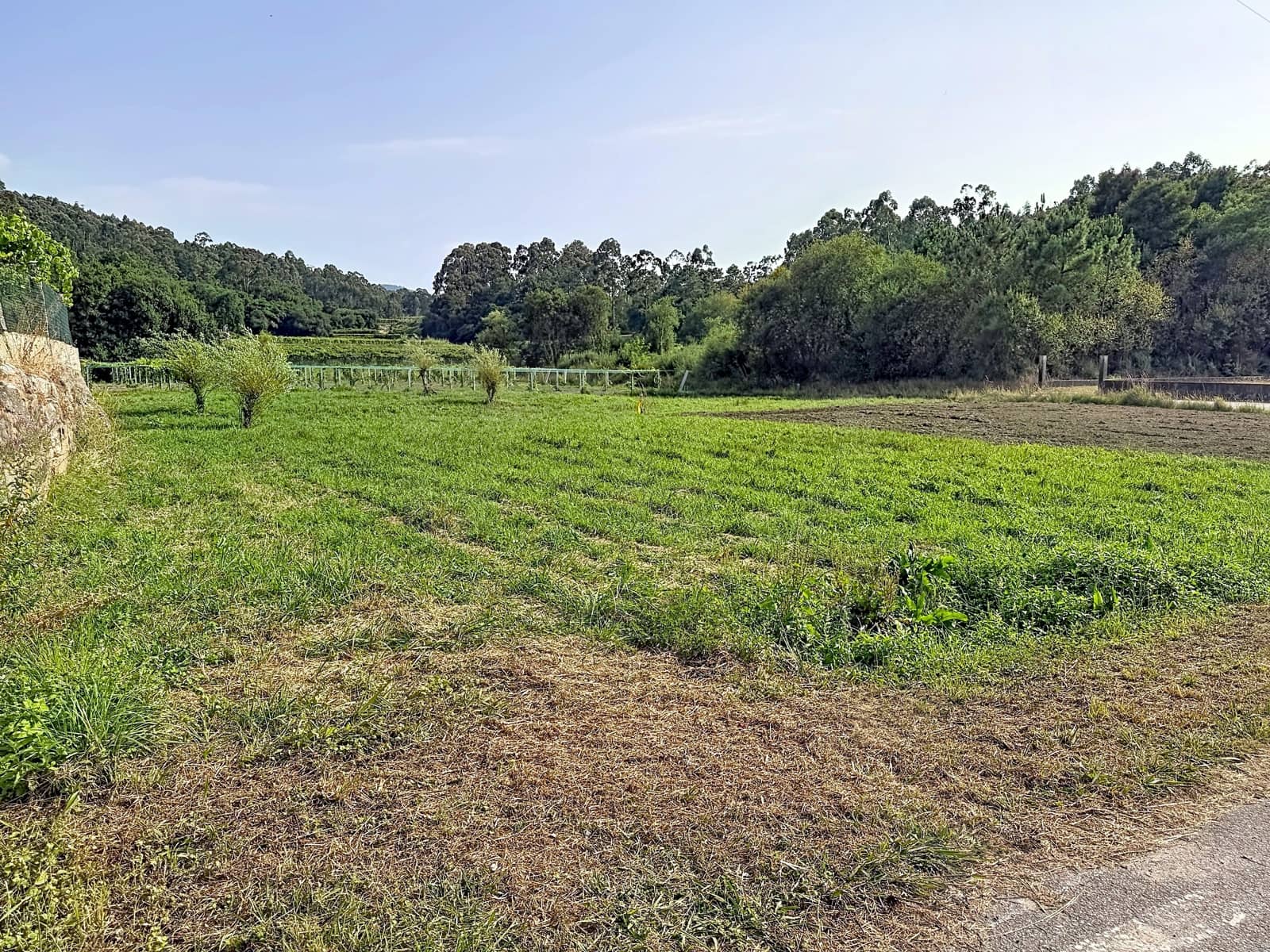 Terreno para Construção para venda em Ribadumia - 50 000 € (Ref: 10020977)
