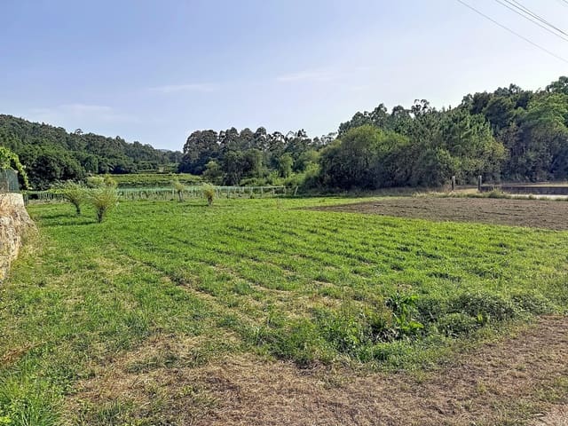 Terreno para Construção para venda em Ribadumia - 50 000 € (Ref: 10020977)