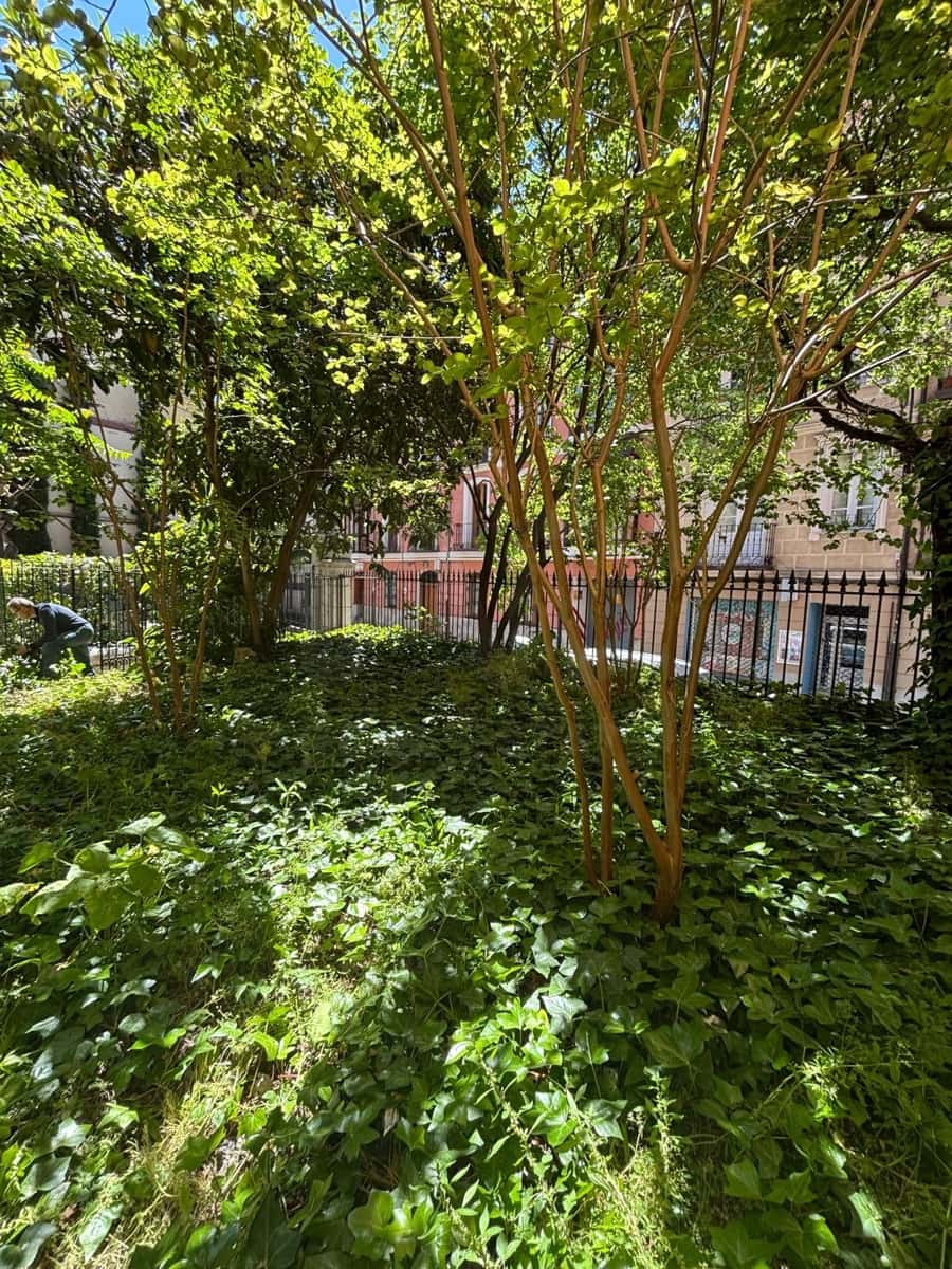 7 bedroom Commercial for sale in Valladolid city - € 467,000 (Ref: 10021528)