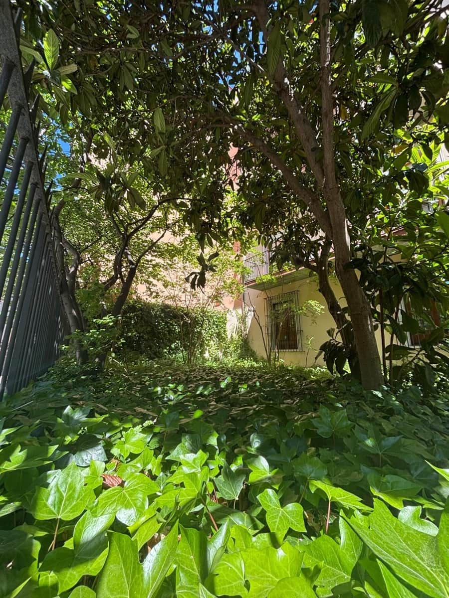 7 bedroom Commercial for sale in Valladolid city - € 467,000 (Ref: 10021528)