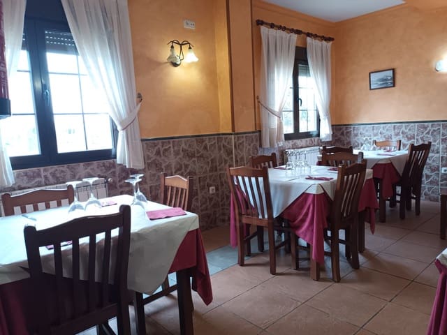 11 Zimmer Gewerbe zu verkaufen in El Burgo Ranero - 350.000 € (Ref: 10021541)