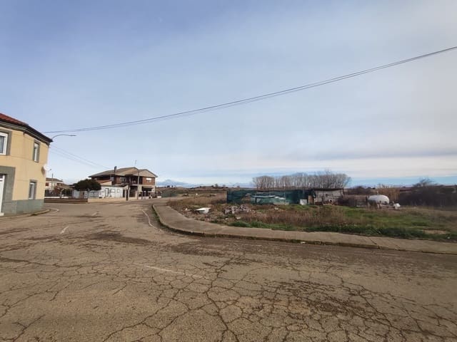 Terre non Aménagée à vendre à León ville - 10 000 € (Ref: 10021554)