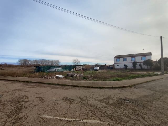Terre non Aménagée à vendre à León ville - 10 000 € (Ref: 10021554)