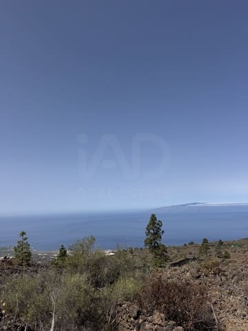 Undeveloped Land for sale in Guía de Isora - € 65,000 (Ref: 10021864)