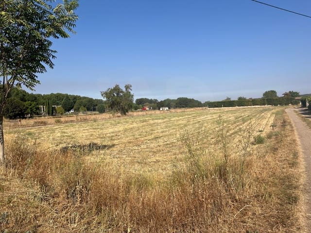 Undeveloped Land for sale in Ciudad Rodrigo - € 49,000 (Ref: 10021867)