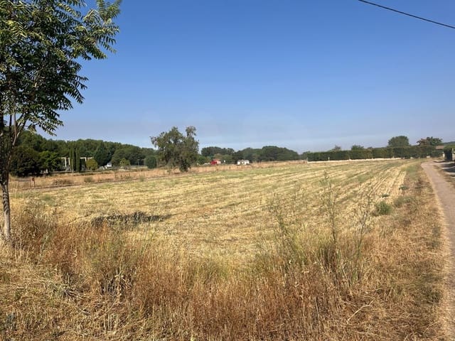 Undeveloped Land for sale in Ciudad Rodrigo - € 49,000 (Ref: 10021867)