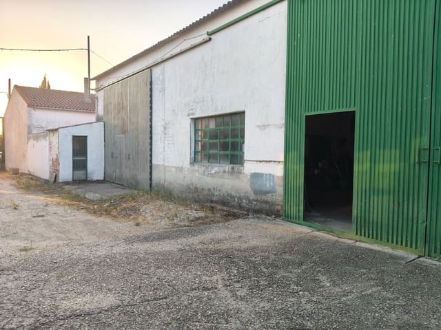 Gewerbe zu verkaufen in Fontiveros - 199.900 € (Ref: 10023295)