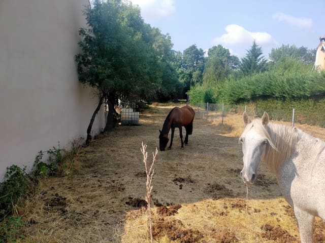 Terreno para Construção para venda em Matabuena - 77 000 € (Ref: 10023298)