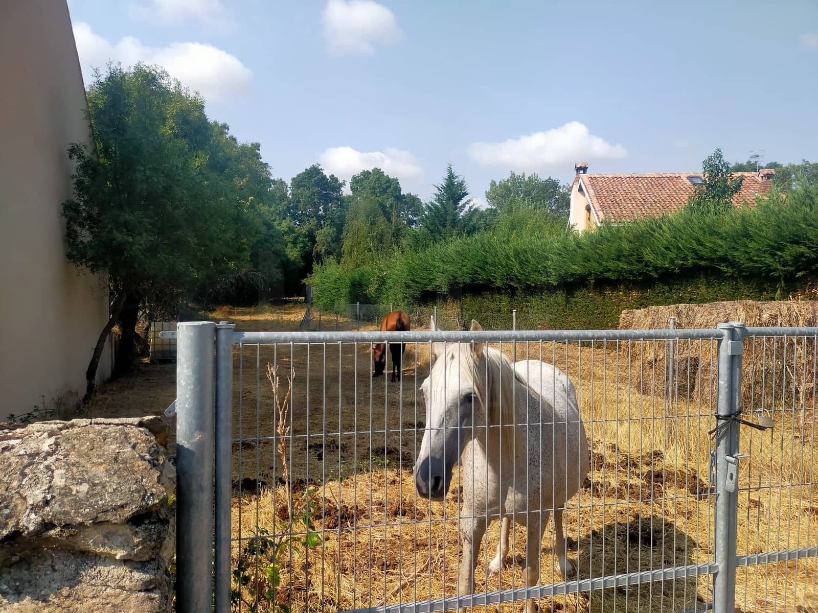 Byggetomt til salgs i Matabuena - € 77 000 (Ref: 10023298)
