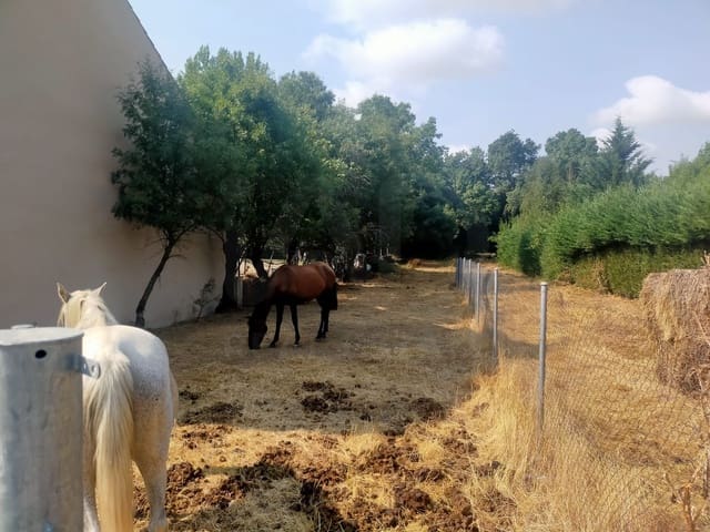 Terreno para Construção para venda em Matabuena - 77 000 € (Ref: 10023298)