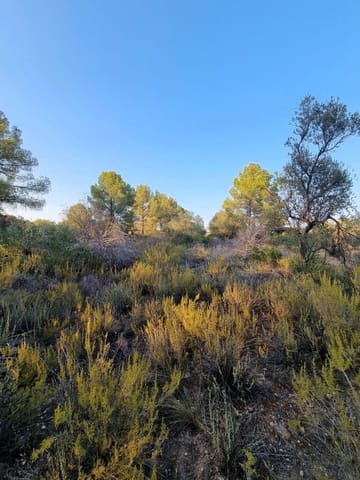 Landgrundstück zu verkaufen in Ginestar - 12.000 € (Ref: 10023302)